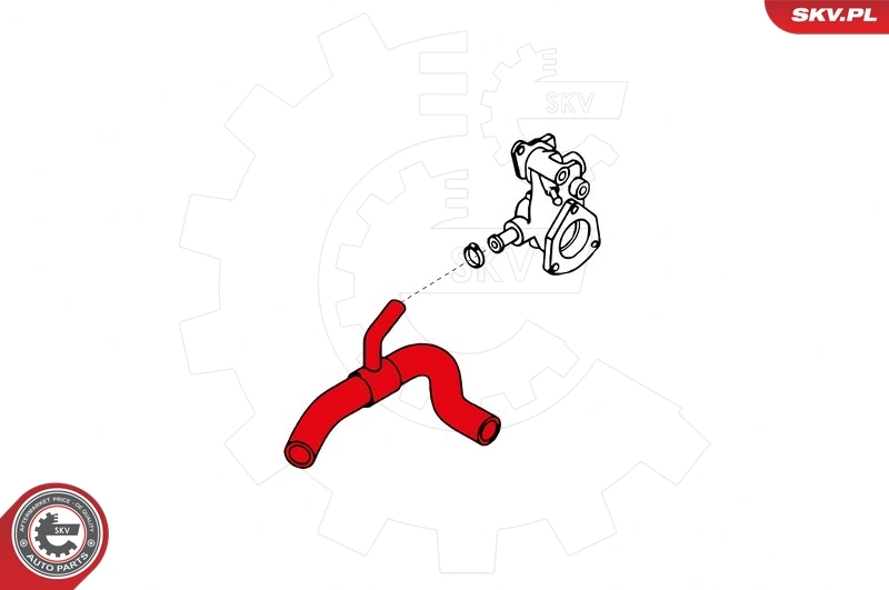 Radiator Hose